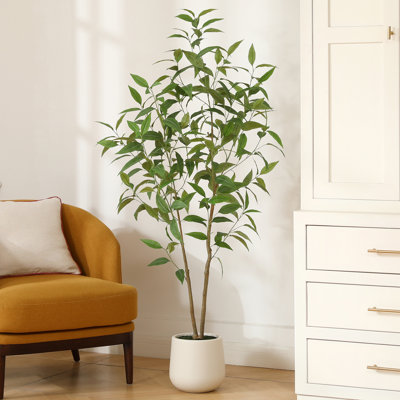 Arbre à eucalyptus AdcockFaux avec pot rond blanc, plante d'eucalyptus pré-empotée pour la décoration intérieure