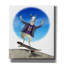  «Llama On Skateboard» par John Hovenstine, art mural sur toile, 26 po x 30 po
