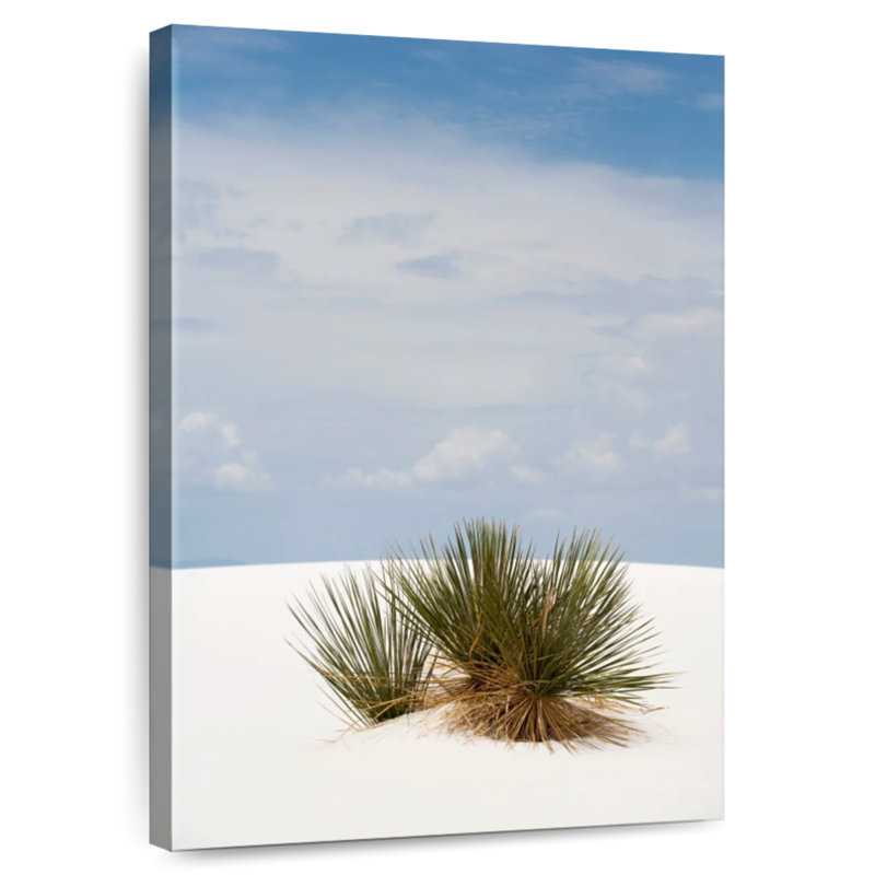 Buisson de dunes de sable Alvord, H 45 po x l 30 po