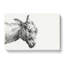 A Head of a Donkey by Jean Bernard - Wrapped Canvas-55368383