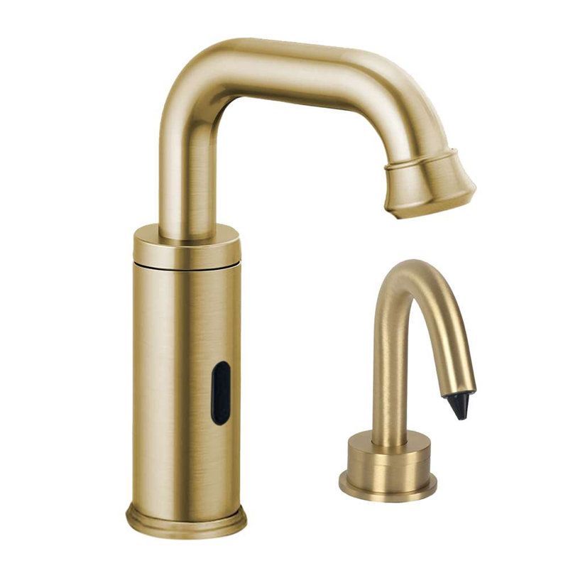 Ensemble de distributeur de savon FS10243