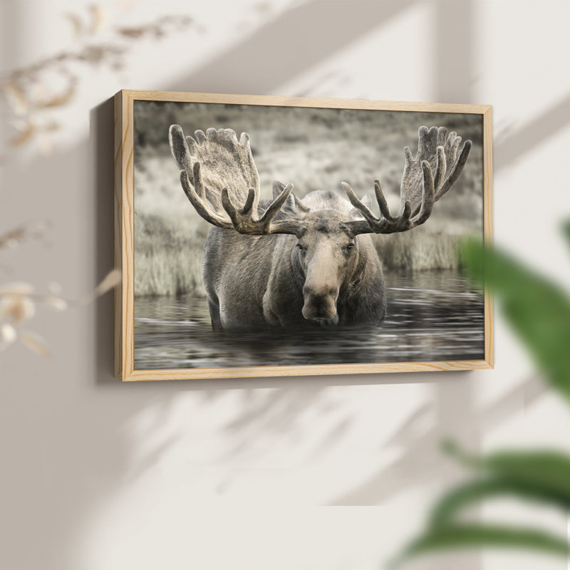 Moose Hot Springs - reproduction encadrée - réarmable, H 8 po x l 10 po, Naturel