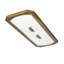 Gibbon LED Flush Mount
