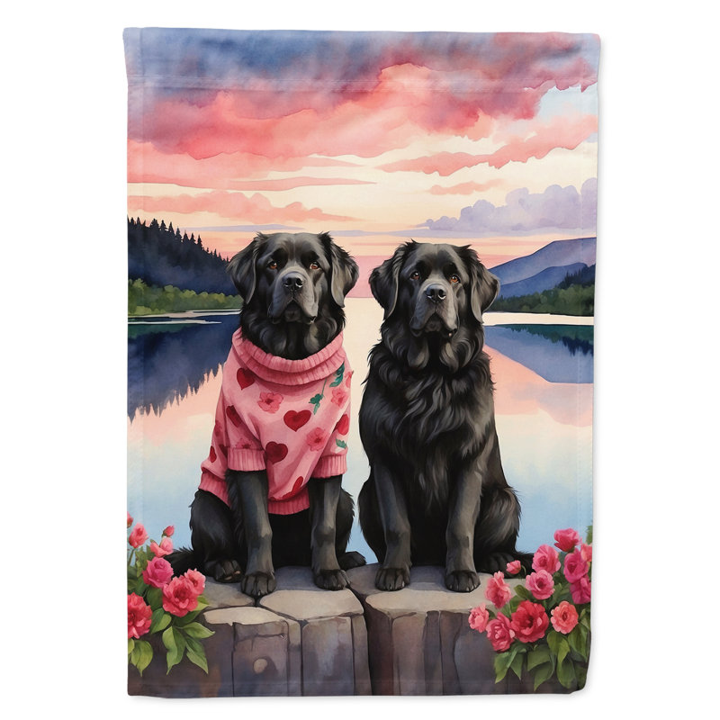 Newfoundland Two Hearts House Flag