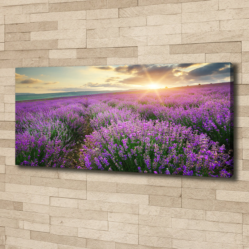 Lavender Field - No Frame Print on Canvas