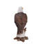 Statue aigle à tête blanche sur souche-23542752