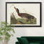 Bemaculé canard - reproduction de photo sur toile-507593559-507593558