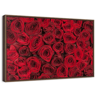 Roses rouges d'été
