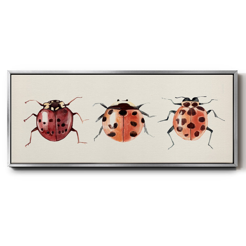 Coccinelle, H 8 po x l 20 po