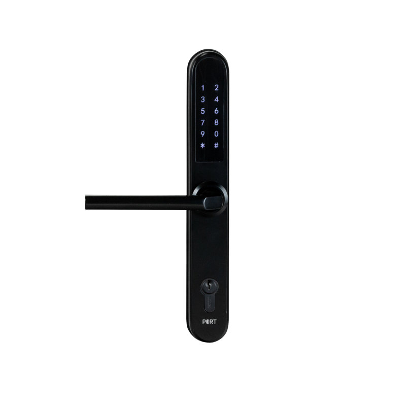 Commercial Smart Lock, Satin Black