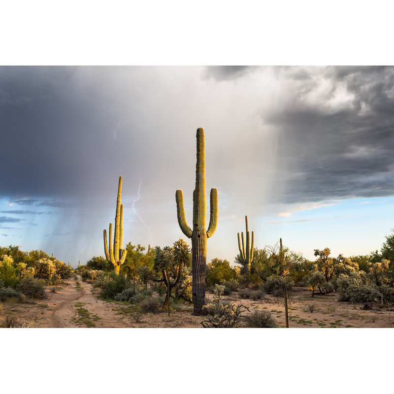 Arizona Desert Landscape by Mdesigner125 - Wrapped Canvas Print, 51cm H x 76cm W
