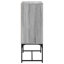 Aanvi Steel Rectangle Accent Cabinet-1763828317