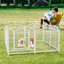 Parc pour chien avec 8 panneaux et enclos en métal pour animal de compagnie-1206226440-1206226447