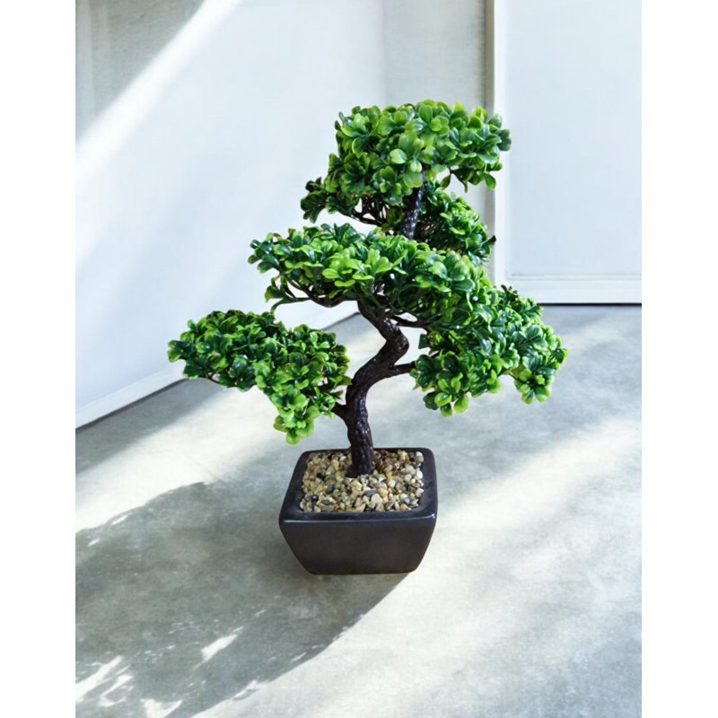 Geko 37cm Bonsai Tree