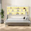 Lit escamotable en bois et en MDF peu encombrant, style moderne avec rangement intégré et canapé