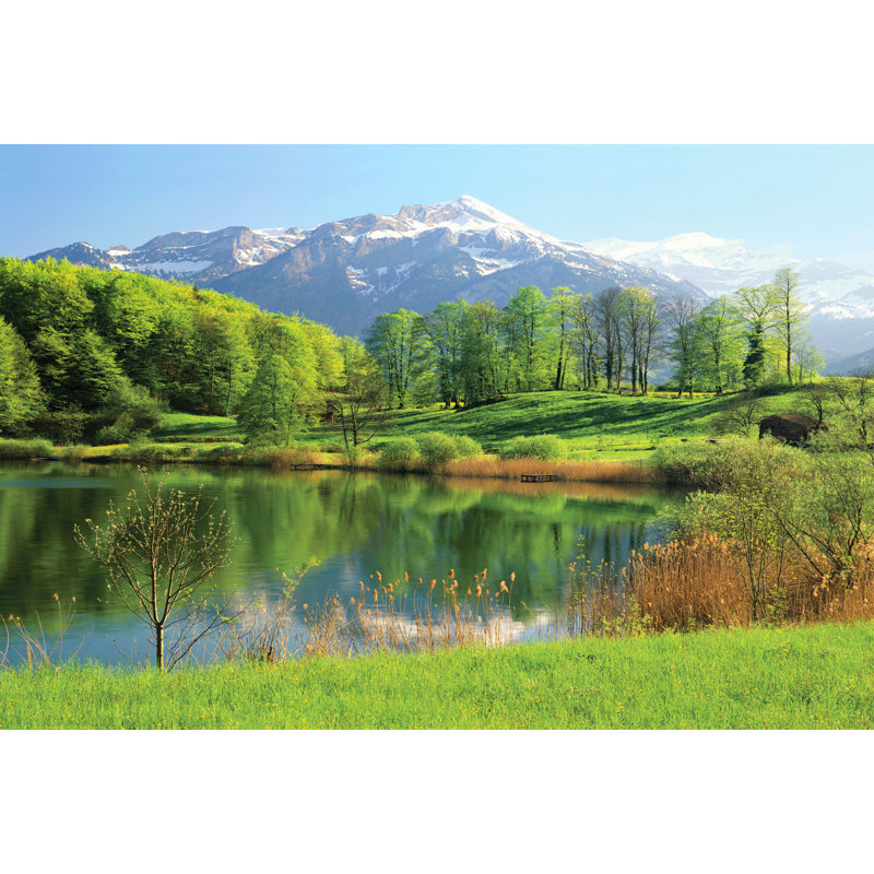 Audia Wall Mural, 5" W x 5.83" L