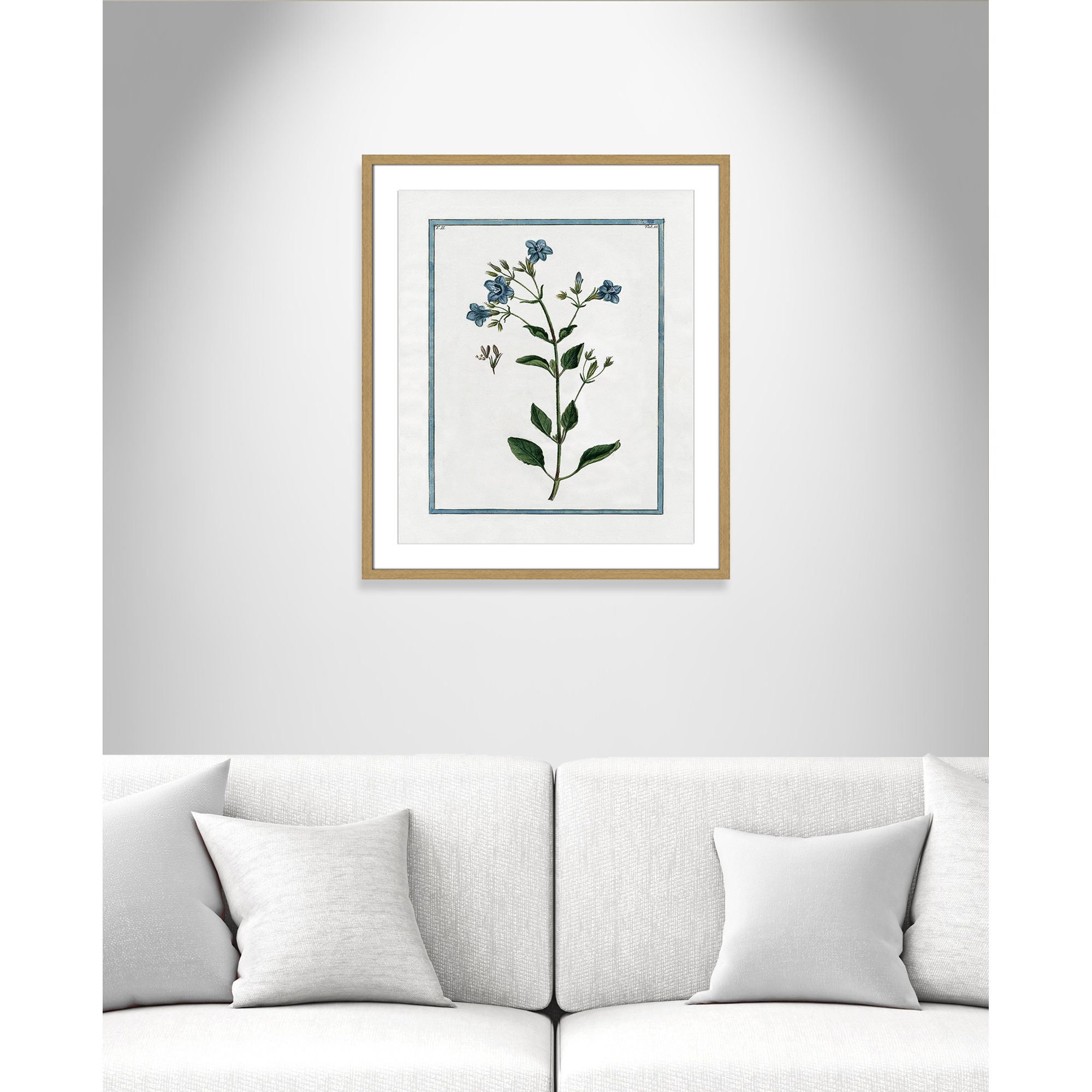 Shabby Elegance Botanical II - Framed Art, Natural Framed, 21.5" W x 25.5" H