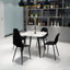 Kalie Pair of Plastic Dining Chairs, Black Metal Frame-836818117