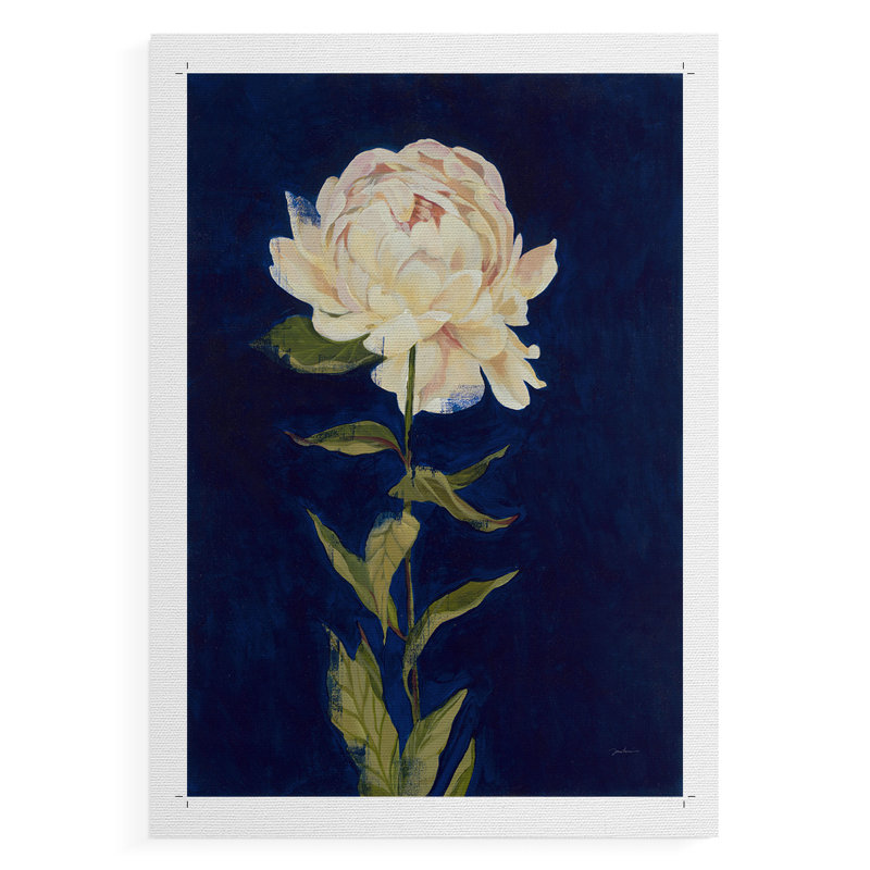 JOLIE COMME PEONY I - Impression sur toile seulement - NON-CADRE