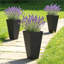 Pots de fleurs, pots à fleurs hauts-1775603093