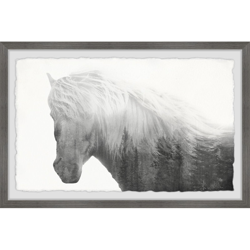 Dramatic Horse by Marmont Hill - Single Picture Frame Print, 20cm H x 30cm W x 3.81cm D