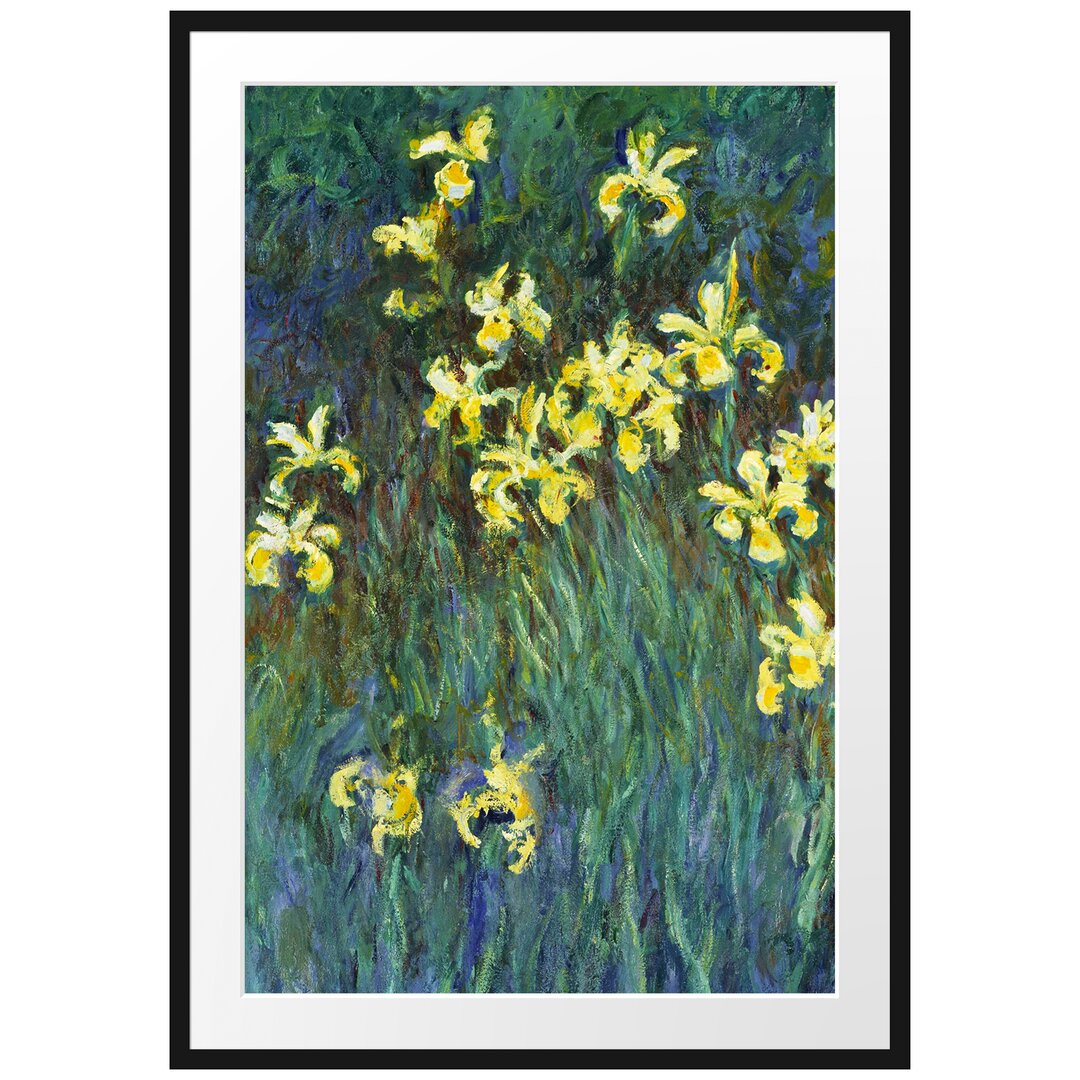 Gerahmter Kunstdruck Yellow Irises von Claude Monet