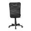Polyester Task Chair