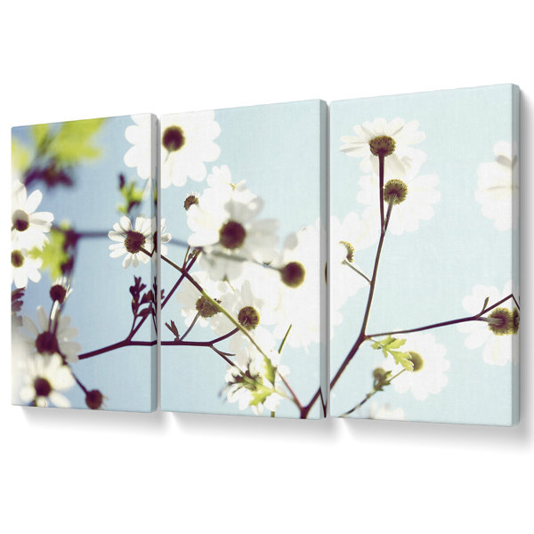 Ebern Designs White Summer Flowers - 3 Piece Wrapped Canvas Print ...