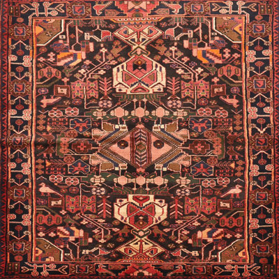 Oriental Indoor Rug