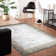 Bolog Abstract Indoor Rug