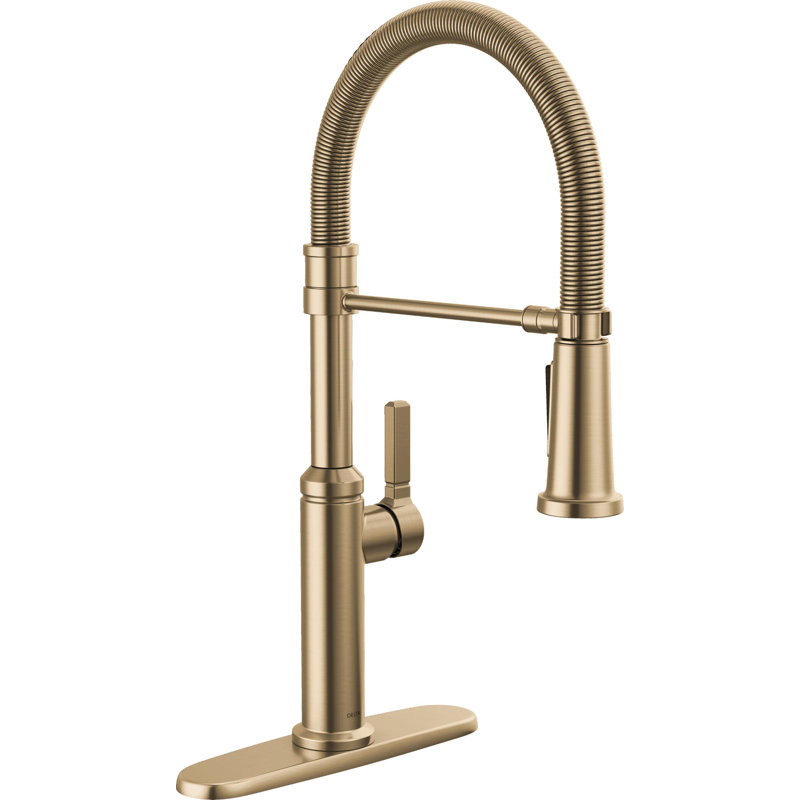 Robinet de cuisine Rhett Pro Style, Bronze champagne