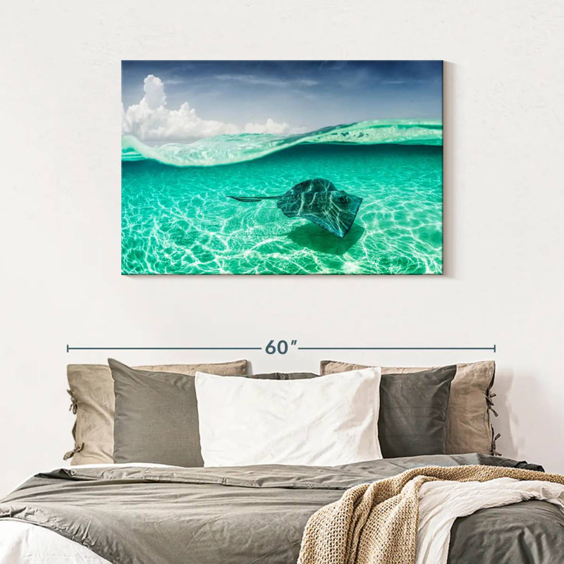 Brama Manta Ray sous l'eau