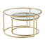 Lieselore Frame Coffee Table-1327451280