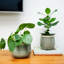 Indoor Planter, Reactive Glaze Como Pot-1228869589-1228869588