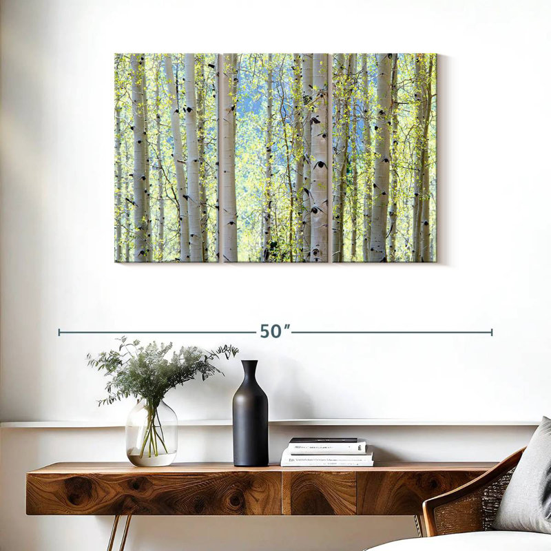 Harnek Aspens, H 24 po x l 38 po