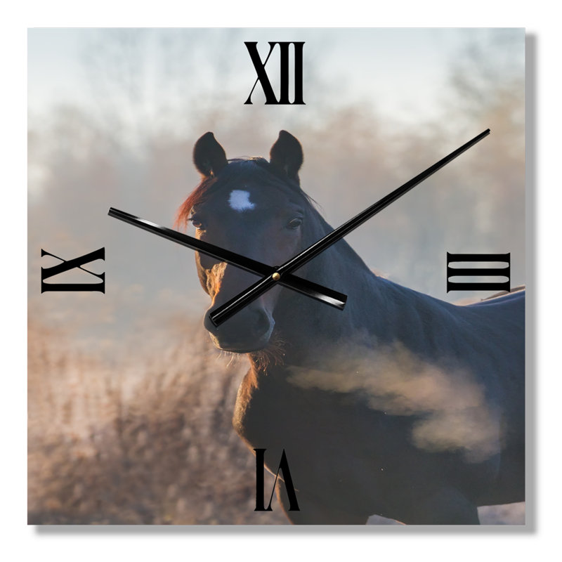 Portrait d'un cheval sur une horloge murale matin d'automne, Petit