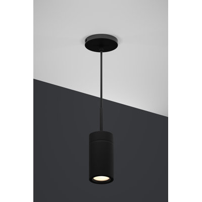 GX 25 LED Pendant Light