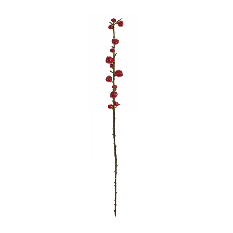 Berry Spray