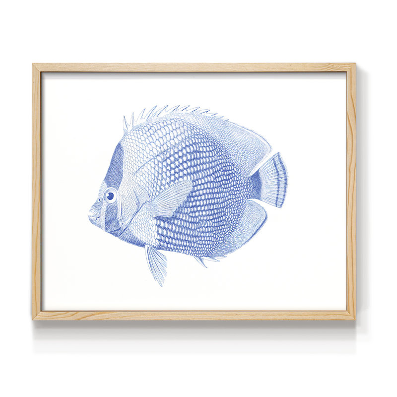 Poisson tropical bleu et blanc VI - reproduction encadrée, H 8 po x l 10 po, Naturel