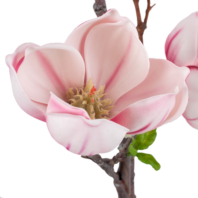 Polyethylene (PE) Magnolia Arrangement, Pink