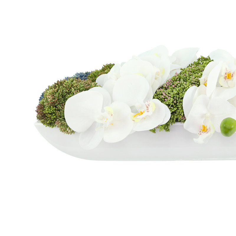 Orchids and Assorted Sedum in Fiberstone Planter, White/Green