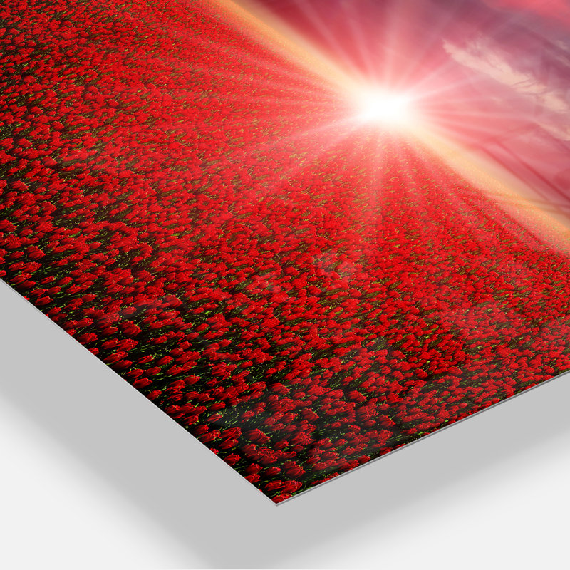 « red pops » à coucher de soleil, reproduction de photo sur toile tendue, H 40 po x l 30 po x P 1 po, Toile tendue