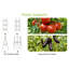 Lit de jardin surélevé galvanisé Kymari, plusieurs tailles au choix, supports de plantes offerts-1425902162-1439304221-1438991577