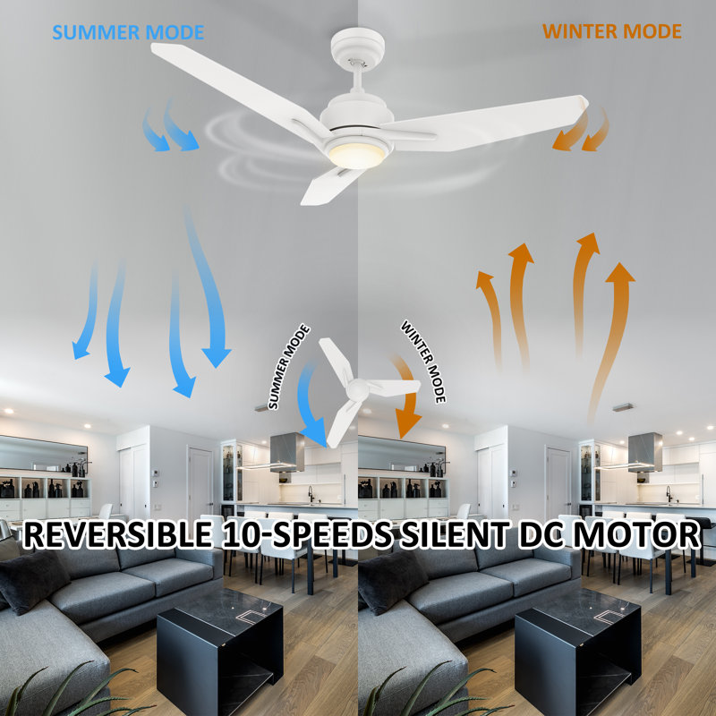 3 - Blade LED Smart Ceiling Fan with Light, White, 48" H x 5.8" W x 20.8" L