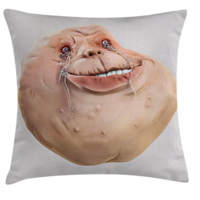 Outdoor Pillow Cover