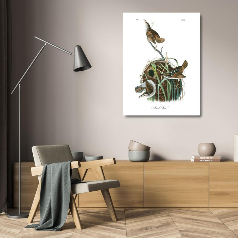 Alcott Hill® Audubon, John James Gallery, art sur toile tendue: Marsh Wren, H 24 po x l 19 po