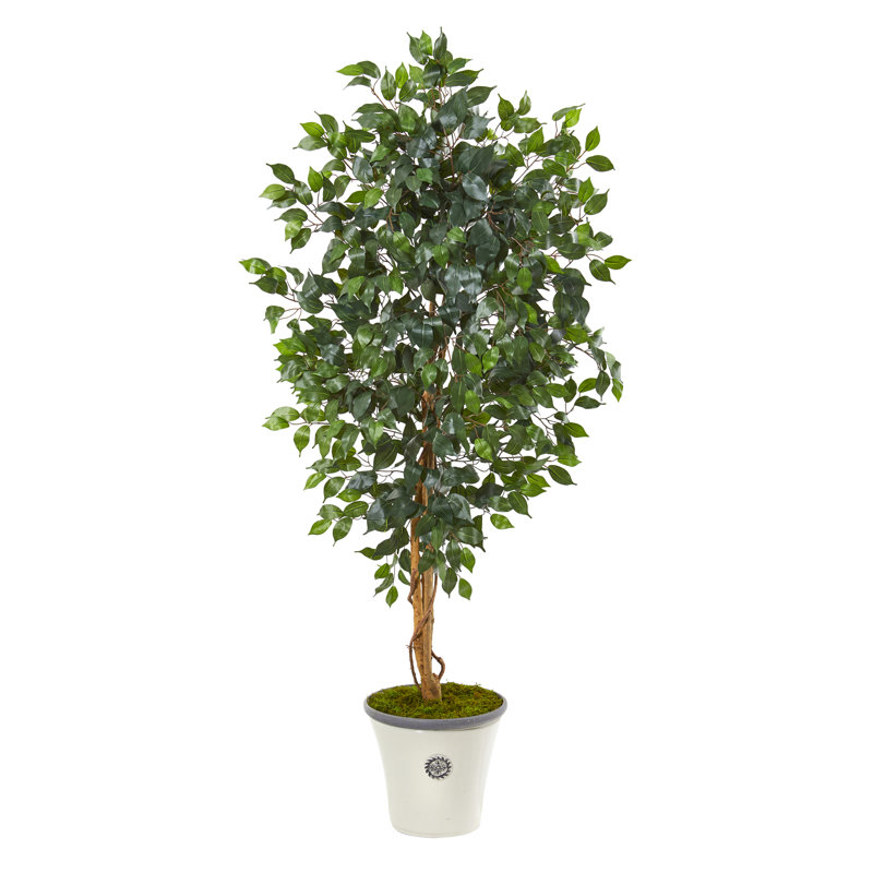 65'' Faux Ficus Tree in Planter