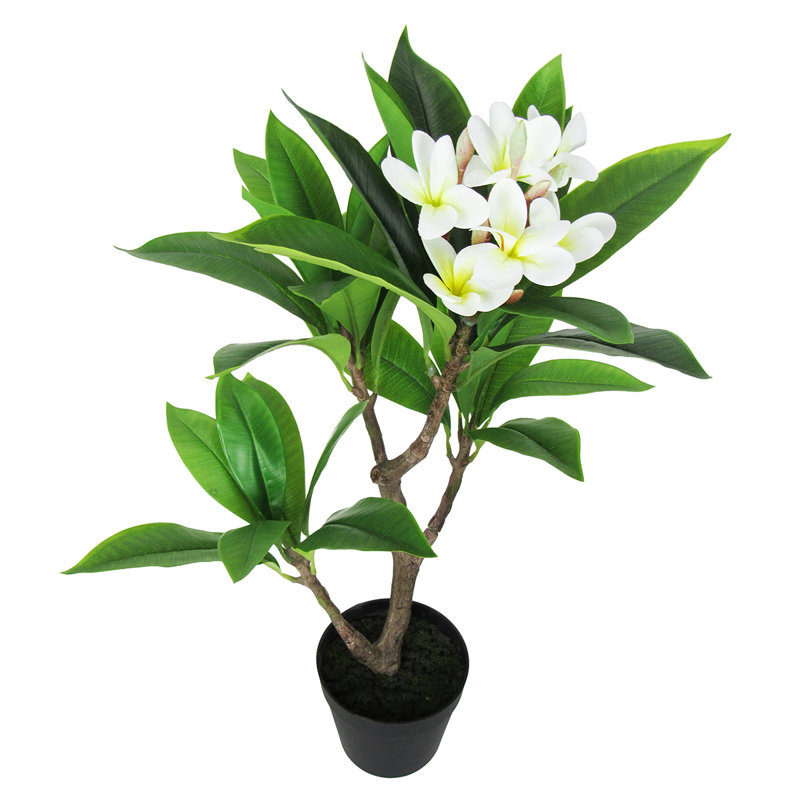 Plumeria artificiel 27 po en pot