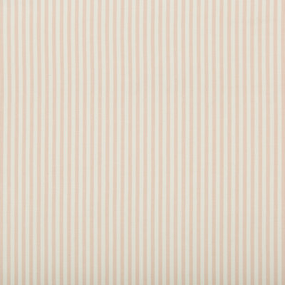 The Riviera Cap Ferrat Stripe Fabric
