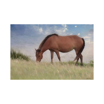 Assataegue Horse by Lori Deiter - Wrapped Canvas Painting